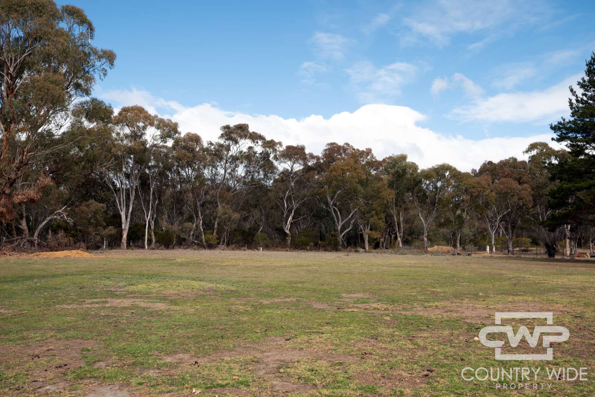 5368 Strathbogie Road, Emmaville For Sale by Farmbuy.com - image 21