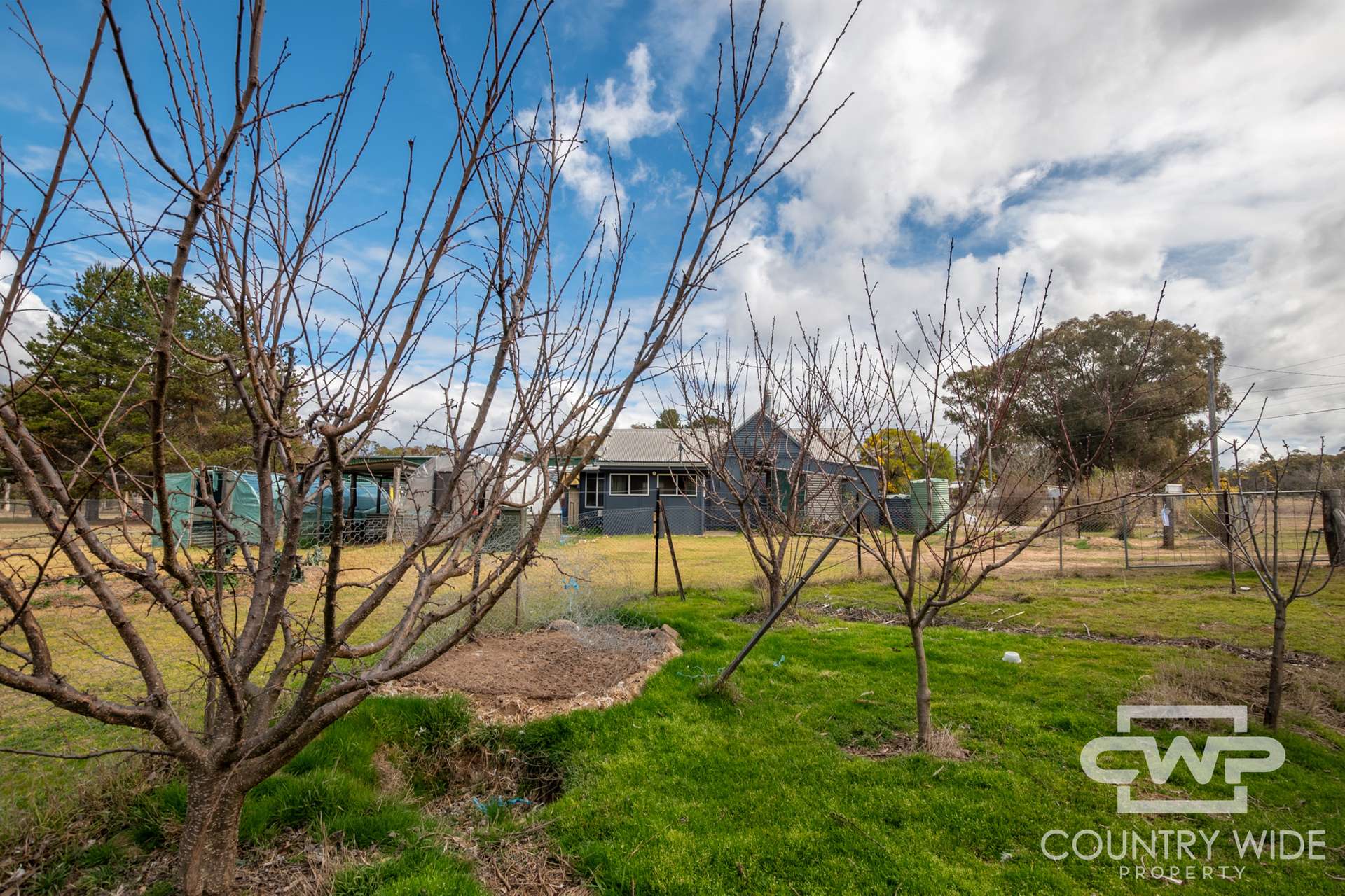 5368 Strathbogie Road, Emmaville For Sale by Farmbuy.com - image 20