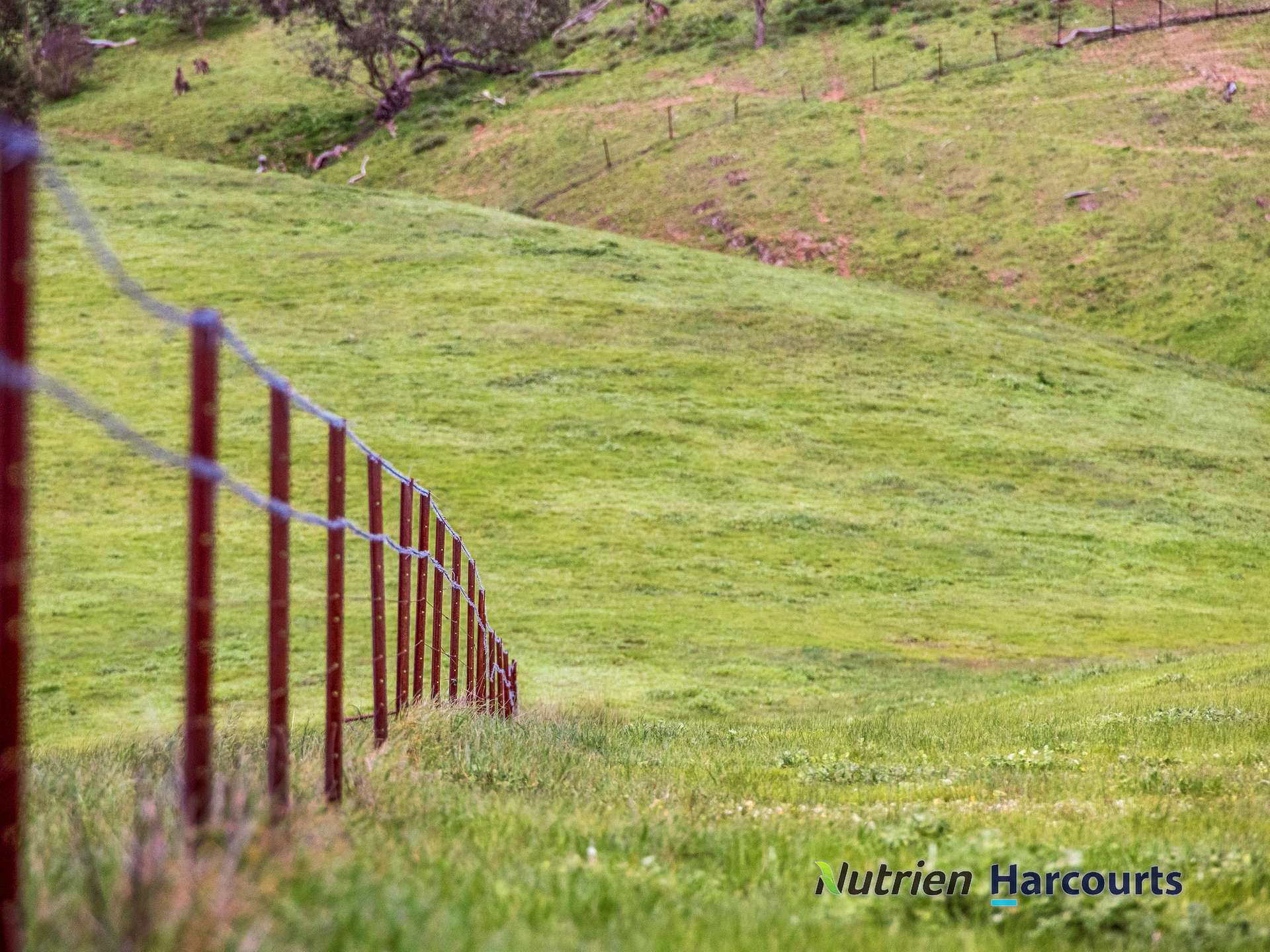 715 King Parrot Creek Road, Strath Creek For Sale by Farmbuy.com - image 16