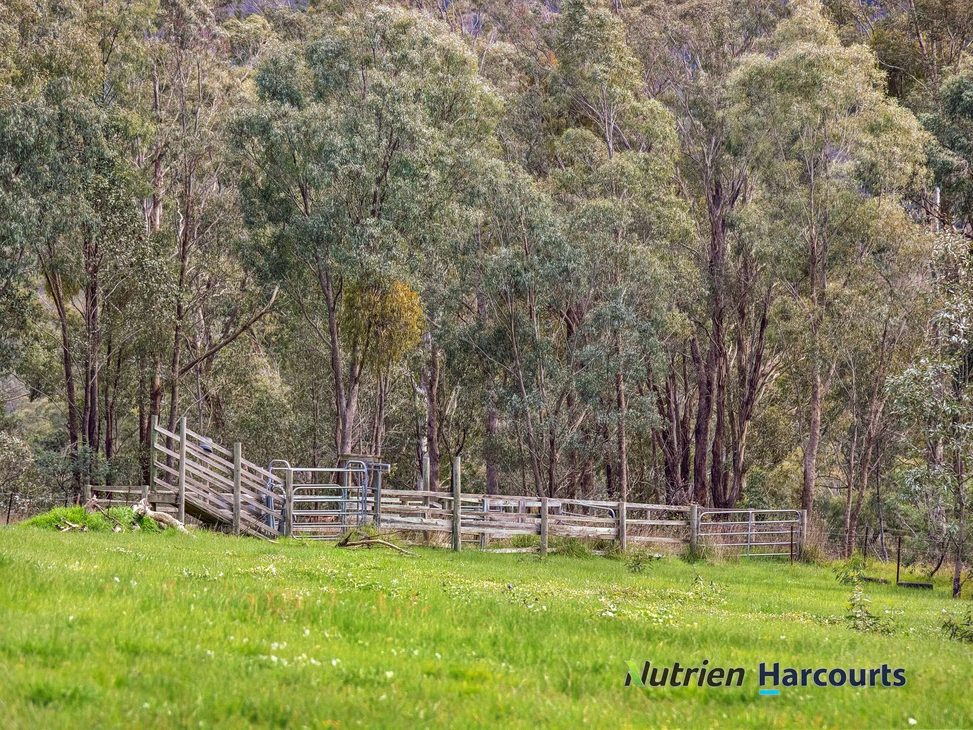 715 King Parrot Creek Road, Strath Creek For Sale by Farmbuy.com - image 11