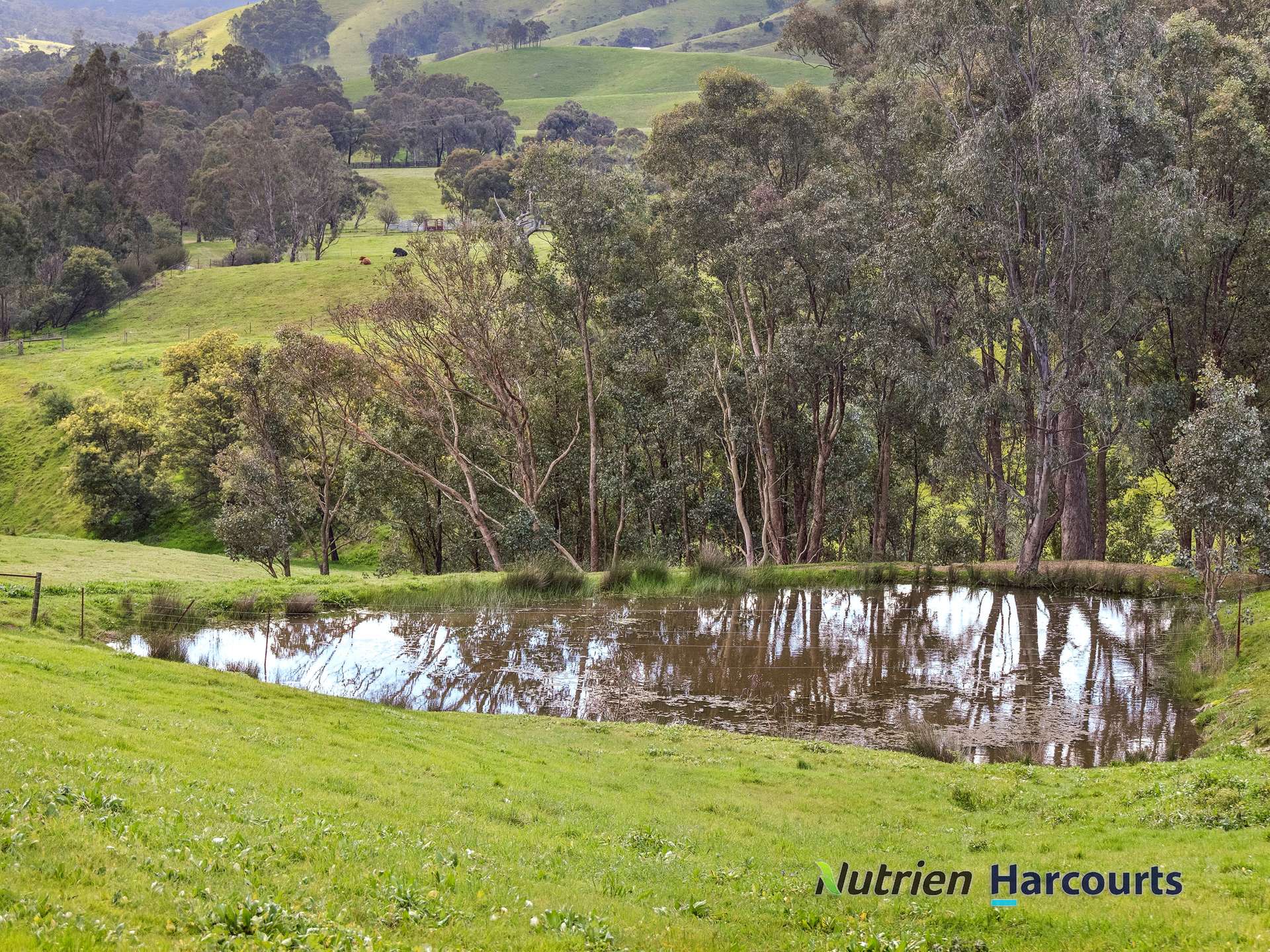 715 King Parrot Creek Road, Strath Creek For Sale by Farmbuy.com - image 10