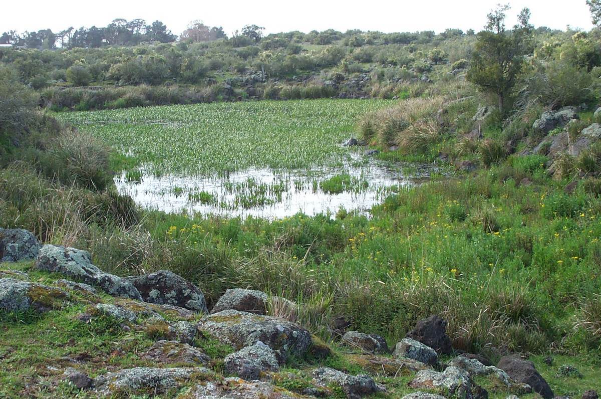 110 Duckholes Road, Dreeite For Sale by Farmbuy.com - image 6