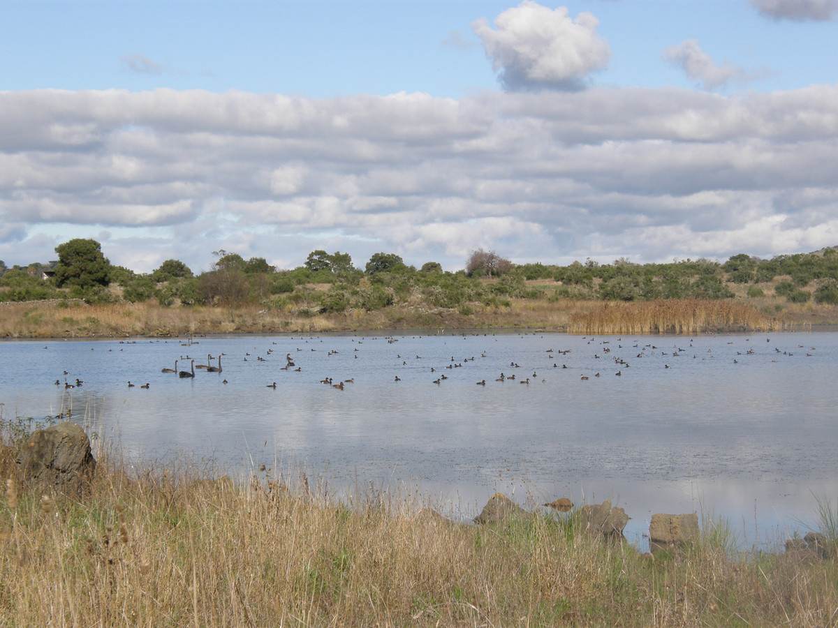 110 Duckholes Road, Dreeite For Sale by Farmbuy.com - image 13