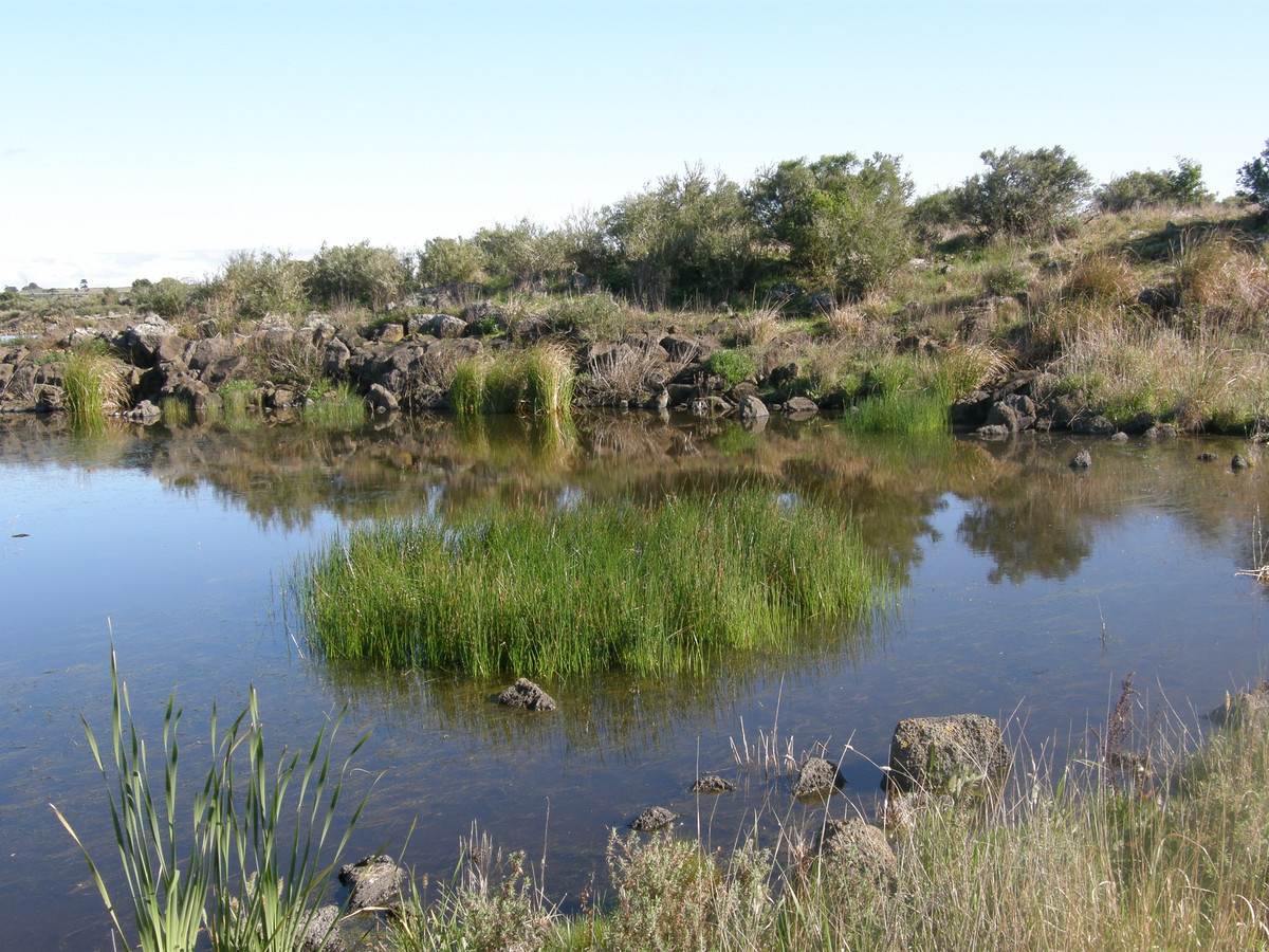110 Duckholes Road, Dreeite For Sale by Farmbuy.com - image 12