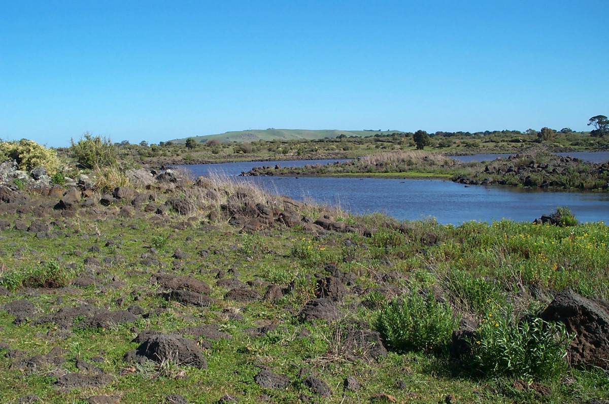 110 Duckholes Road, Dreeite For Sale by Farmbuy.com - image 5