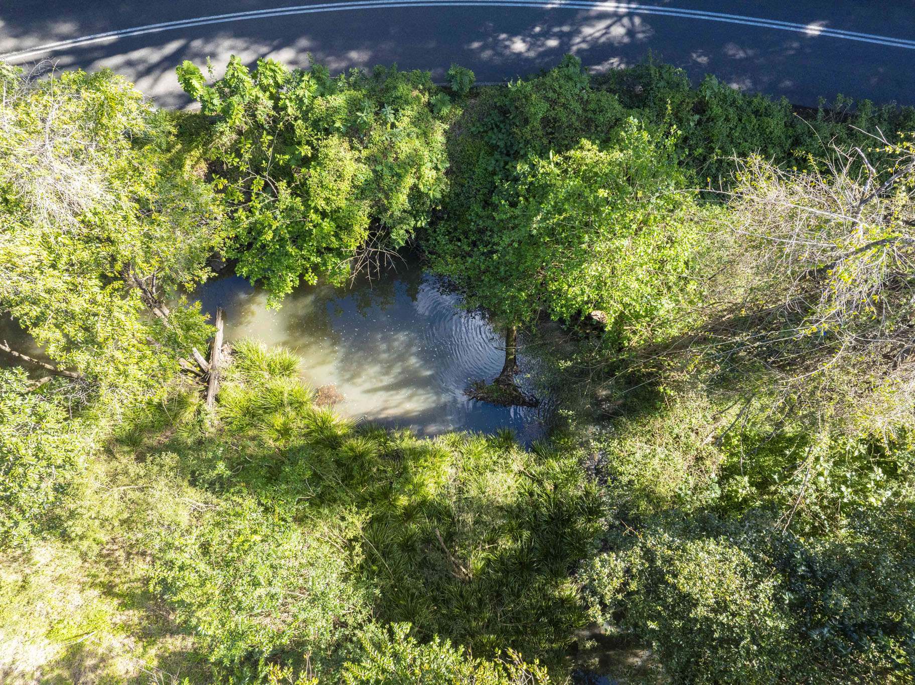 162 BLUE KNOB ROAD, Nimbin For Sale by Farmbuy.com - image 32