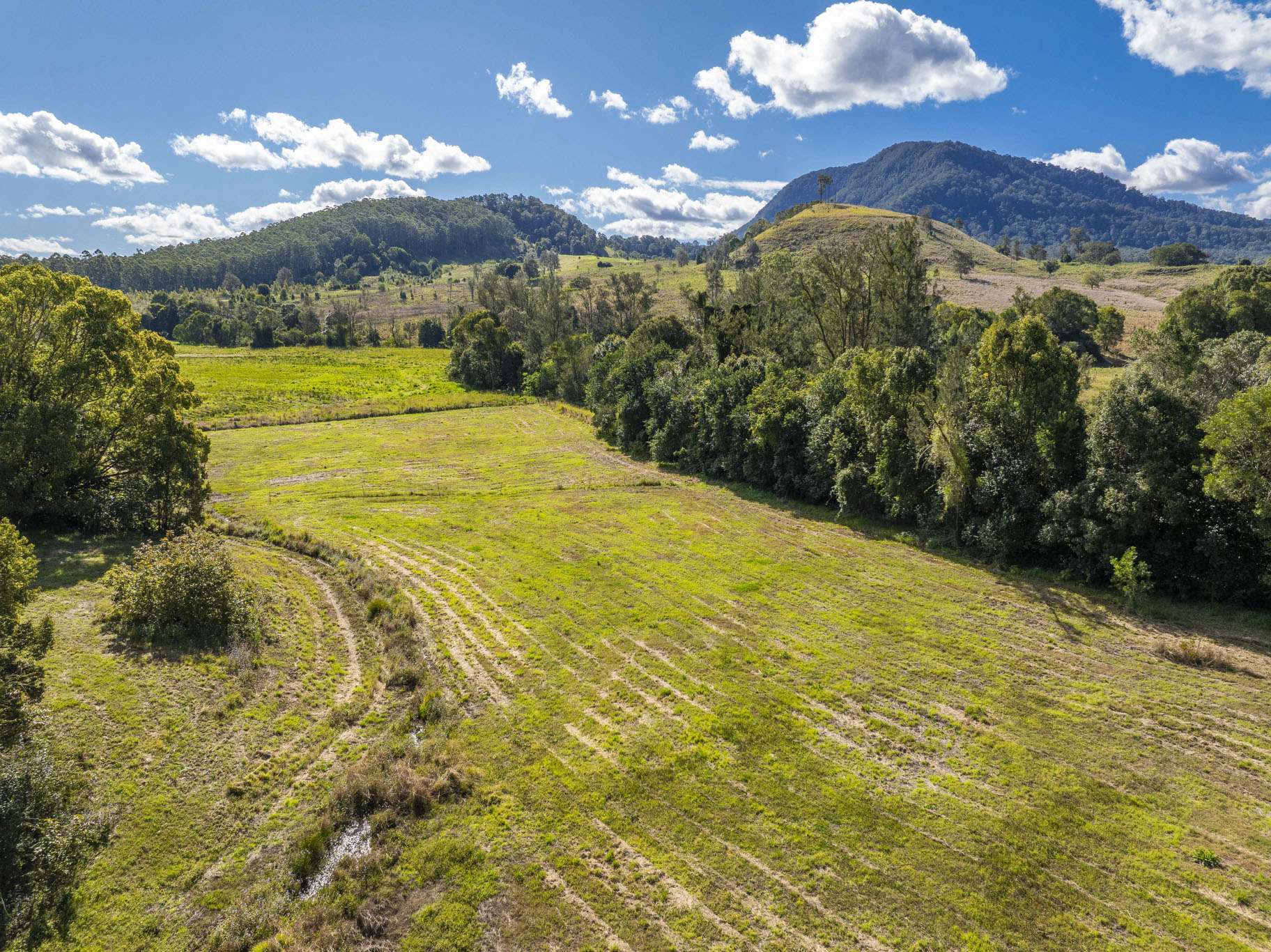 162 BLUE KNOB ROAD, Nimbin For Sale by Farmbuy.com - image 33