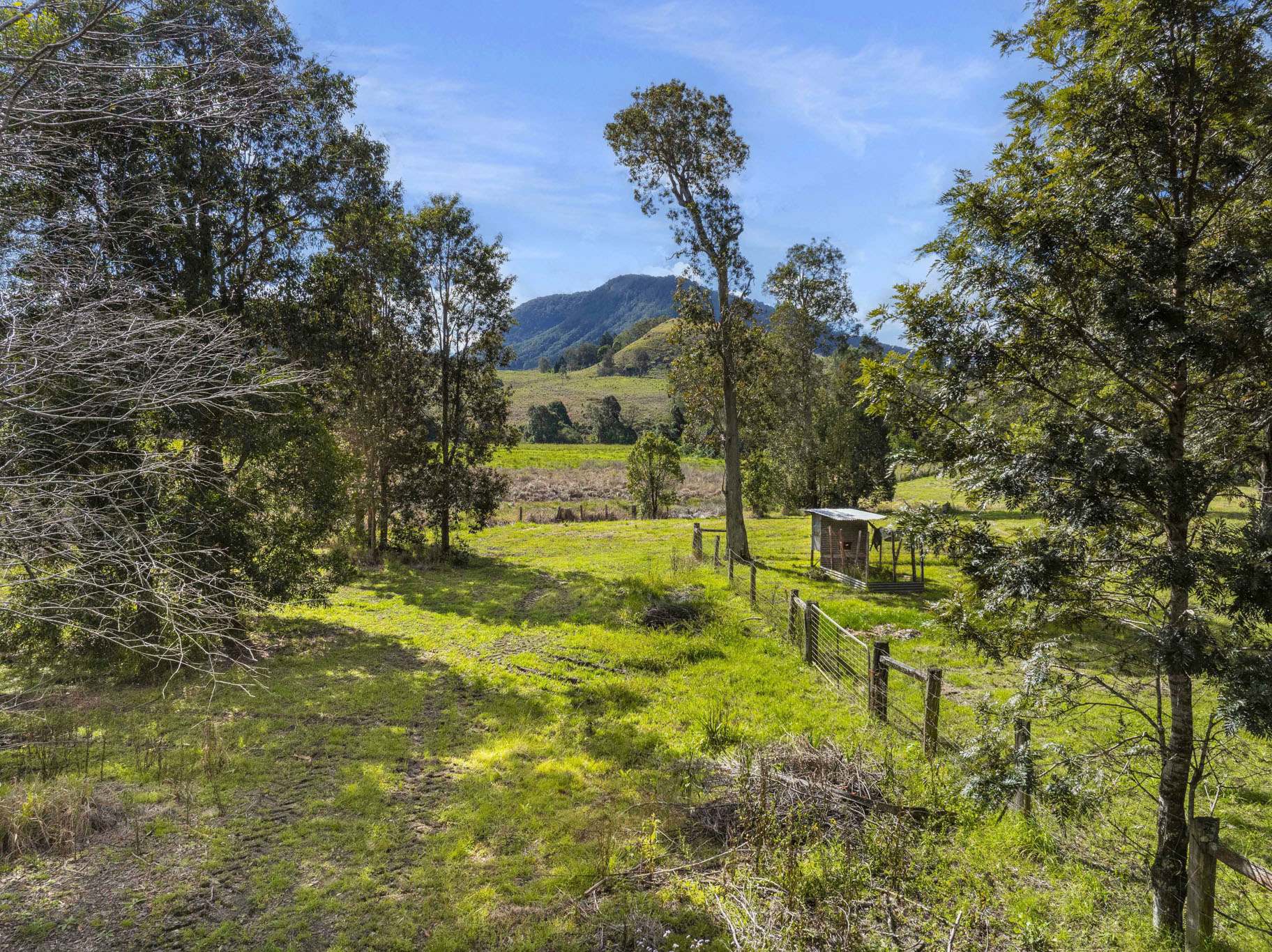 162 BLUE KNOB ROAD, Nimbin For Sale by Farmbuy.com - image 25