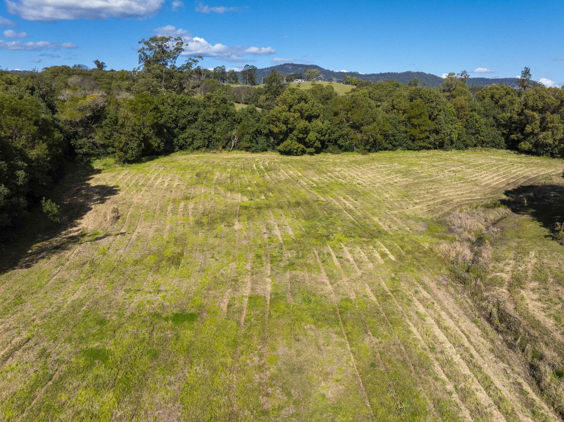 162 BLUE KNOB ROAD, Nimbin For Sale by Farmbuy.com - image 27