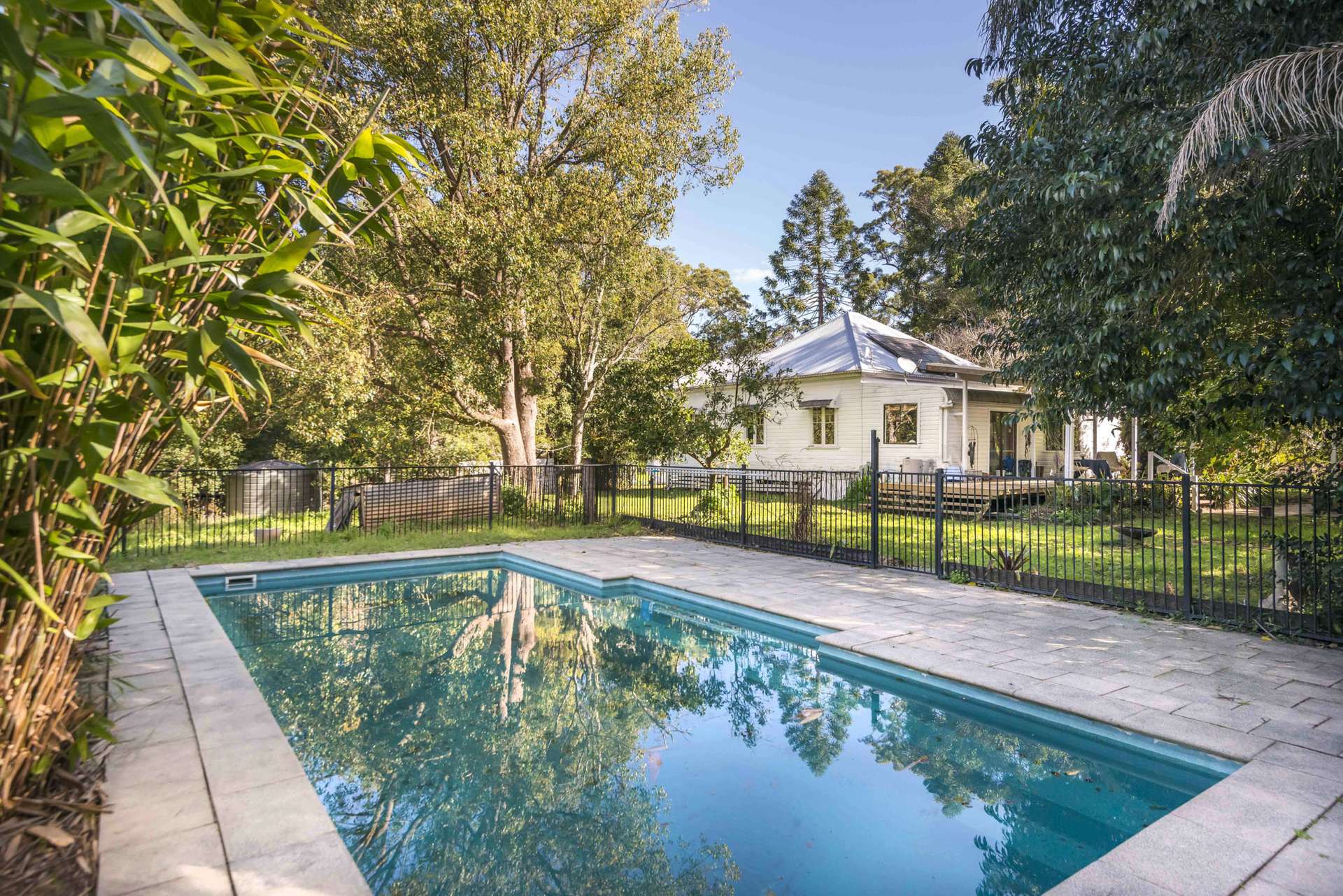 162 BLUE KNOB ROAD, Nimbin For Sale by Farmbuy.com - image 4