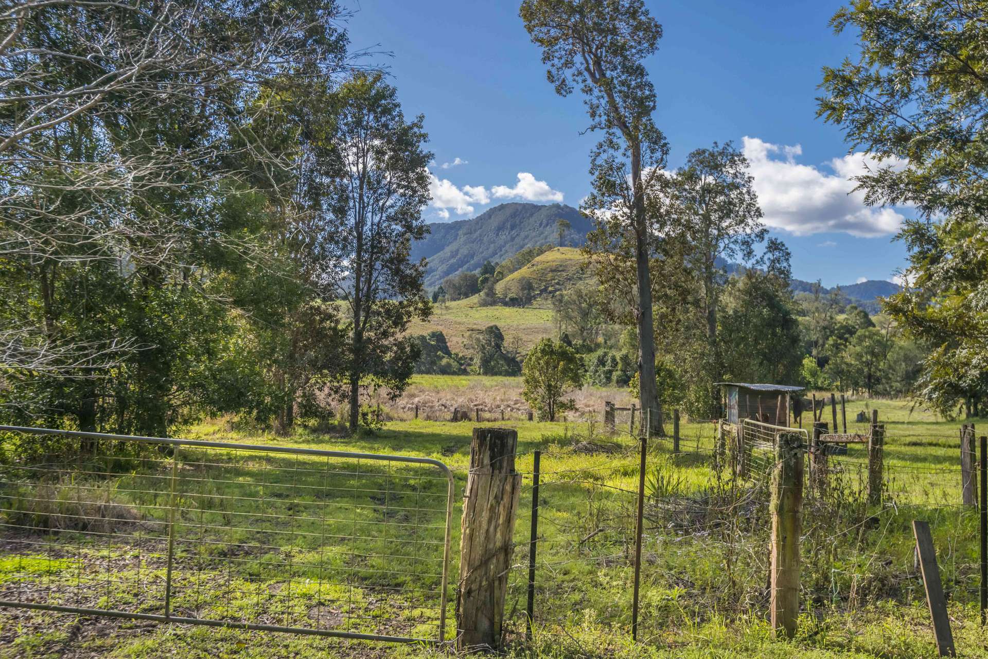162 BLUE KNOB ROAD, Nimbin For Sale by Farmbuy.com - image 23