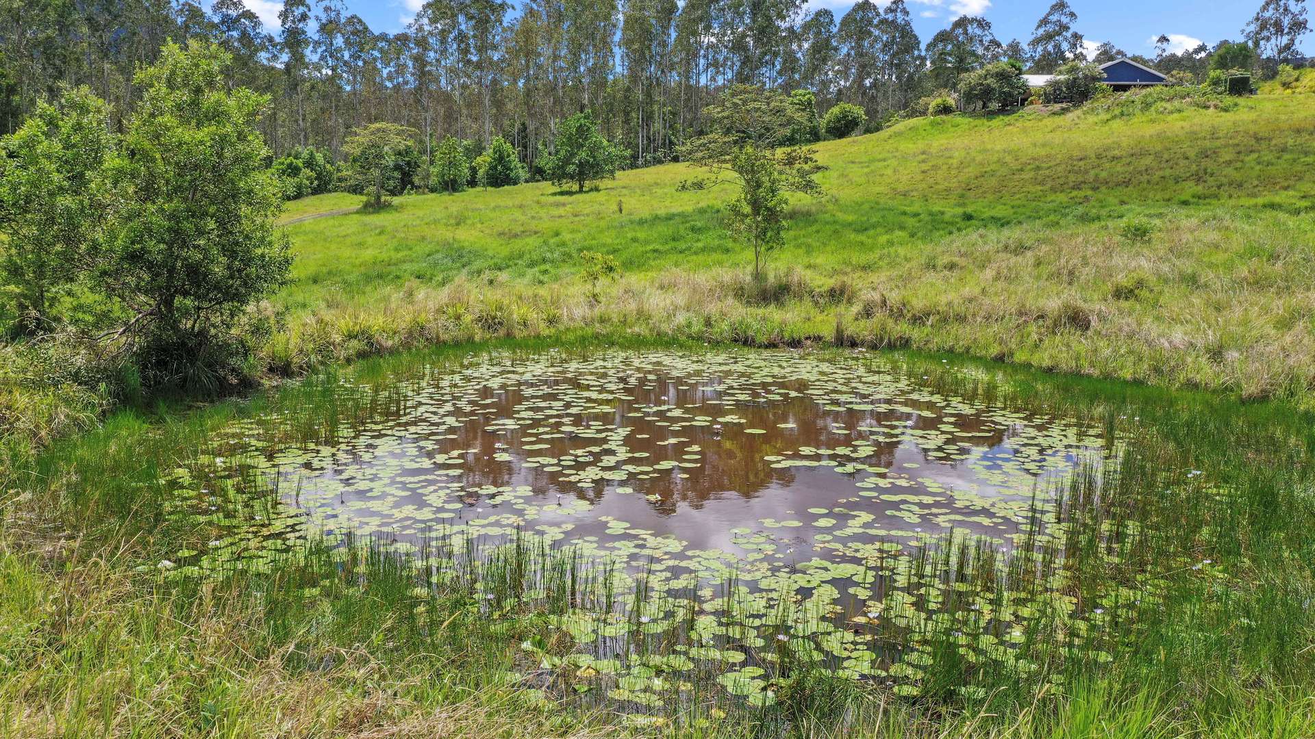 Nimbin For Sale by Farmbuy.com - image 9