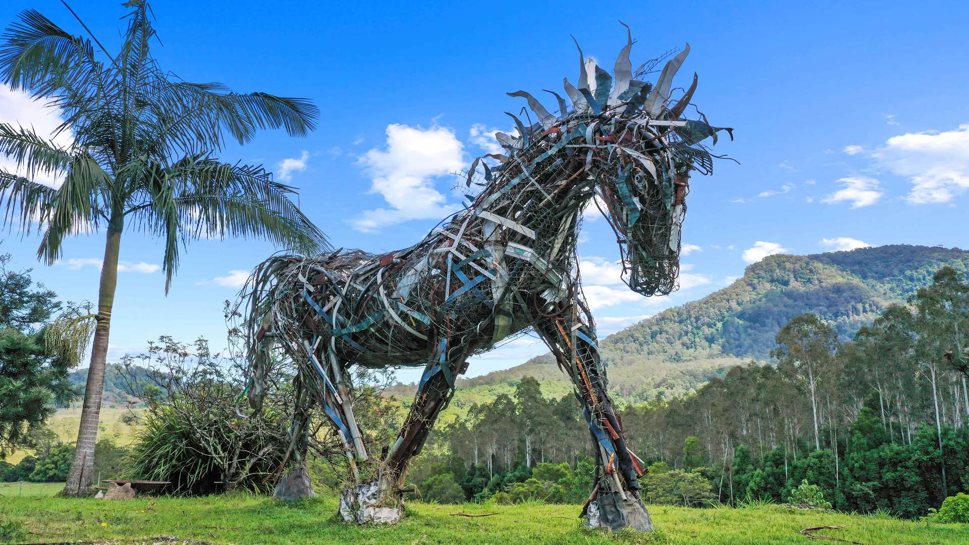 Nimbin For Sale by Farmbuy.com - image 3