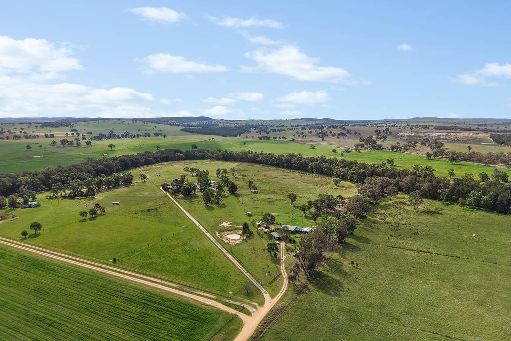125 Holleys Lane, Gulgong NSW 2852