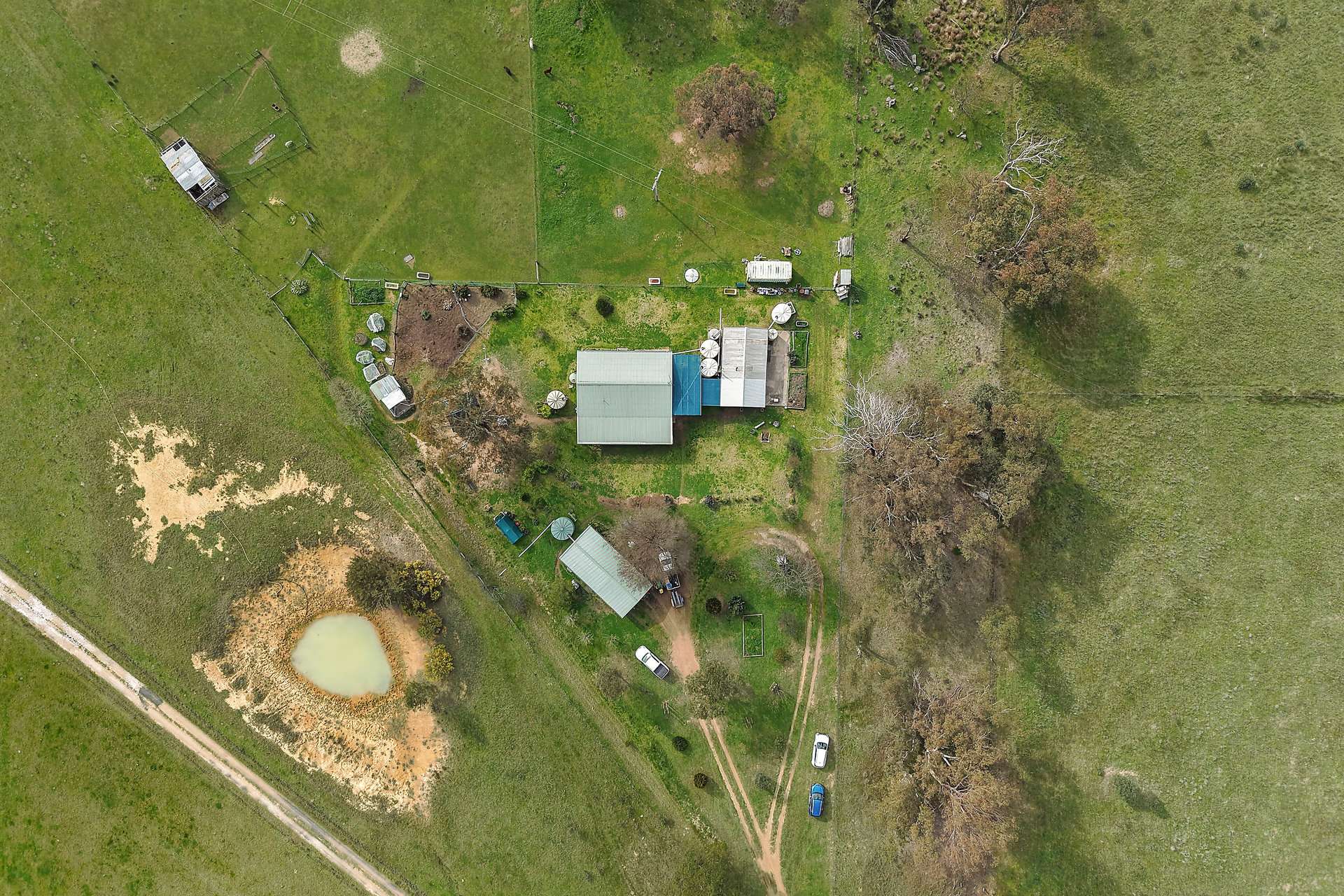 125 Holleys Lane, Gulgong Auction by Farmbuy.com - image 13