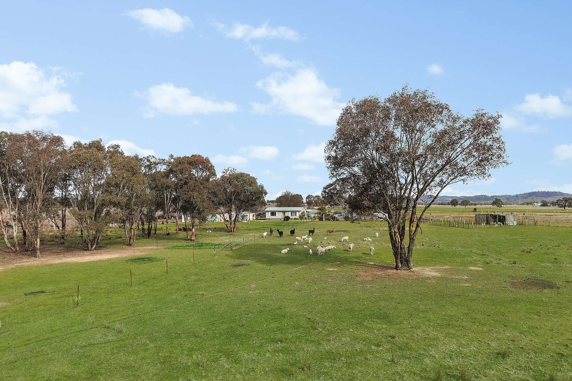 125 Holleys Lane, Gulgong Auction by Farmbuy.com - image 12