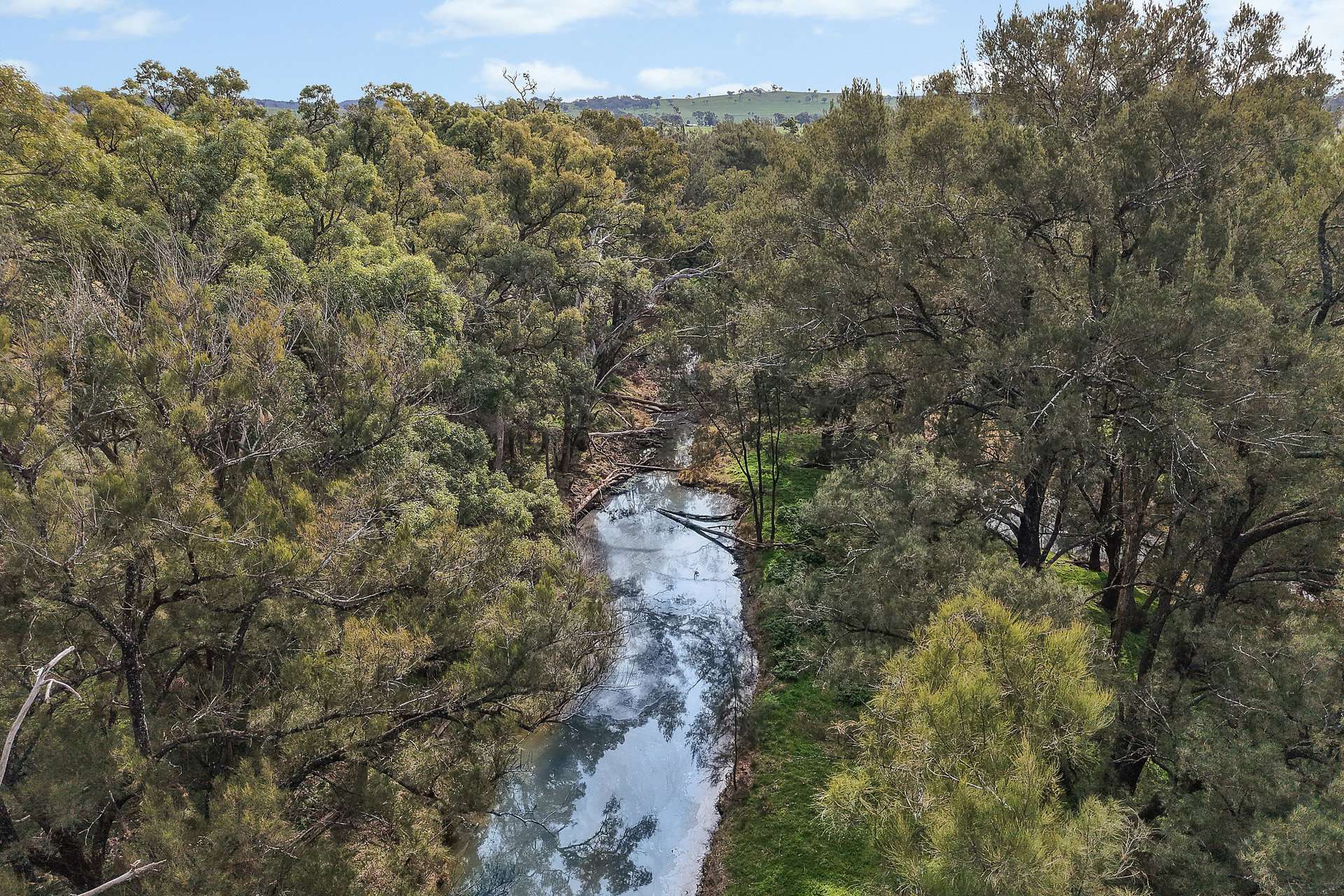 125 Holleys Lane, Gulgong Auction by Farmbuy.com - image 8