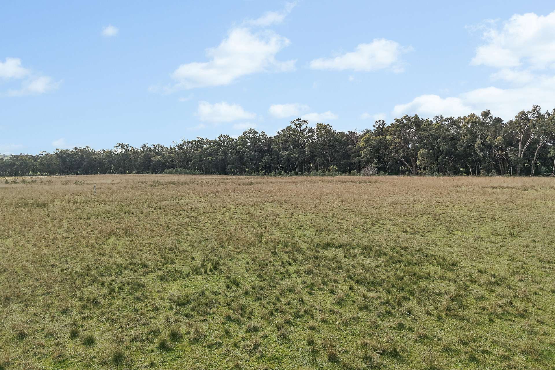 125 Holleys Lane, Gulgong Auction by Farmbuy.com - image 11