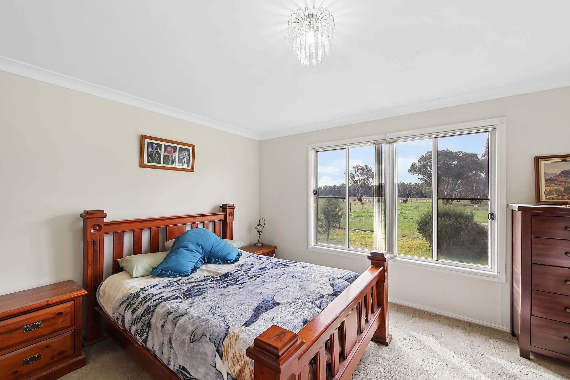 125 Holleys Lane, Gulgong Auction by Farmbuy.com - image 4