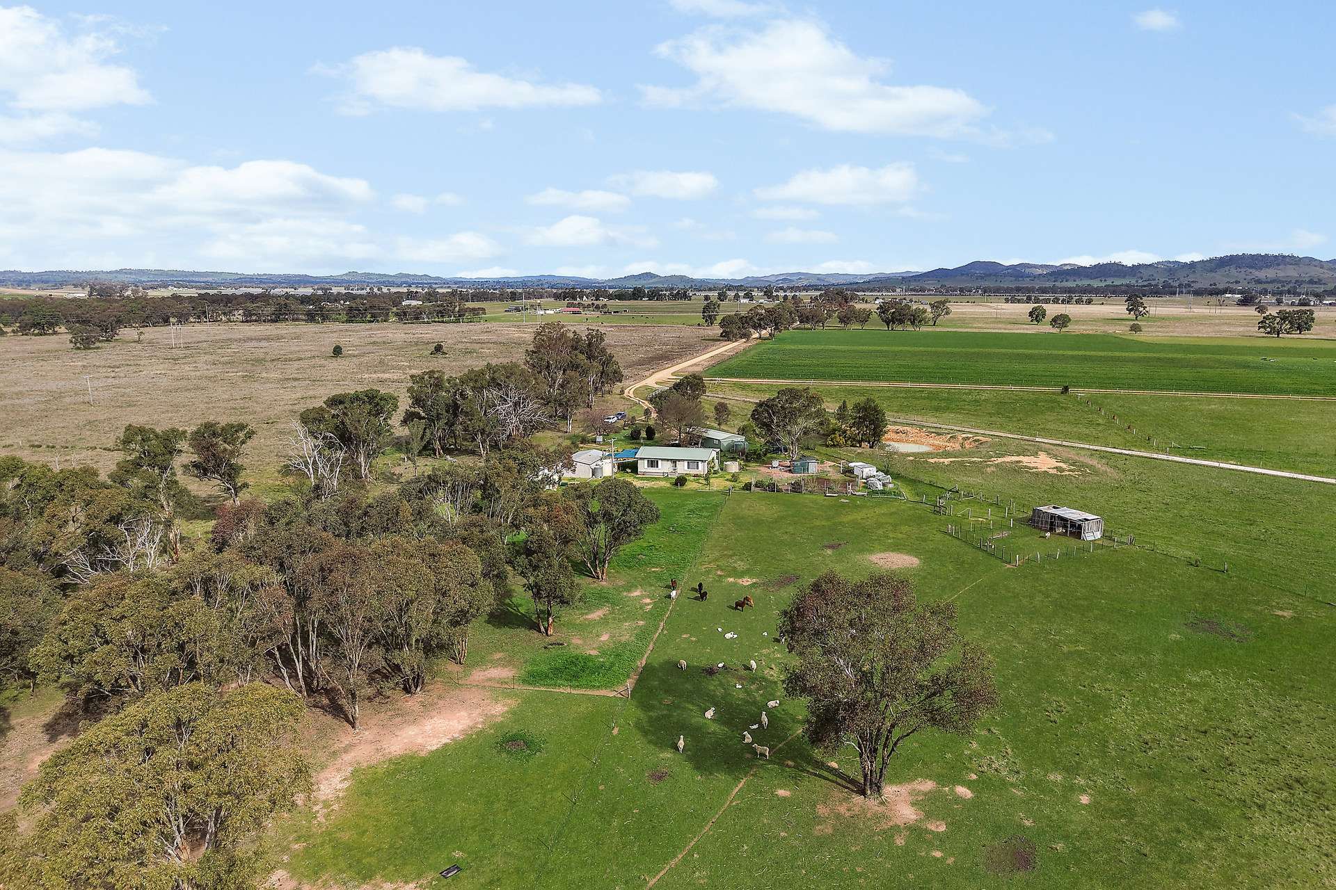 125 Holleys Lane, Gulgong Auction by Farmbuy.com - image 10