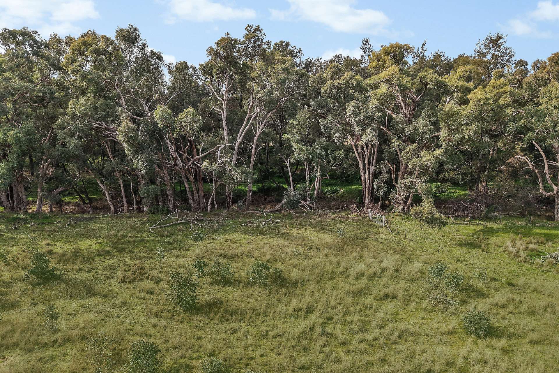 125 Holleys Lane, Gulgong Auction by Farmbuy.com - image 15