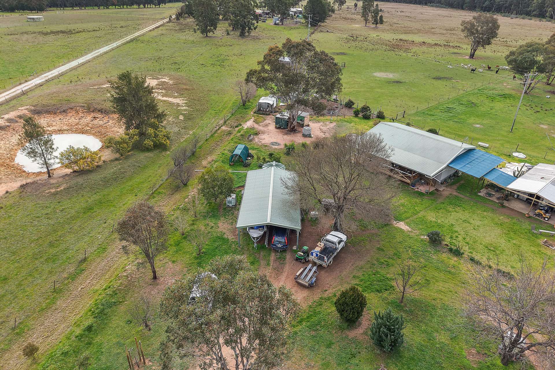 125 Holleys Lane, Gulgong Auction by Farmbuy.com - image 14