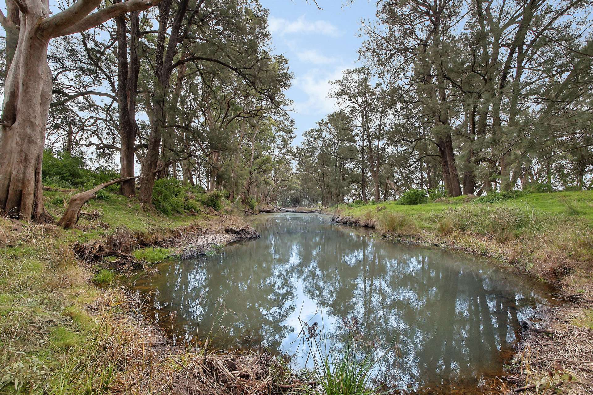 125 Holleys Lane, Gulgong Auction by Farmbuy.com - image 9