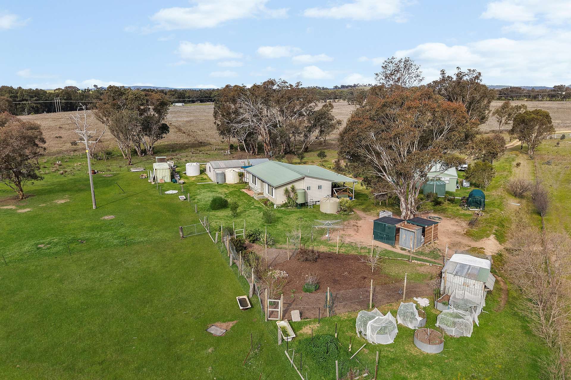 125 Holleys Lane, Gulgong Auction by Farmbuy.com - image 2