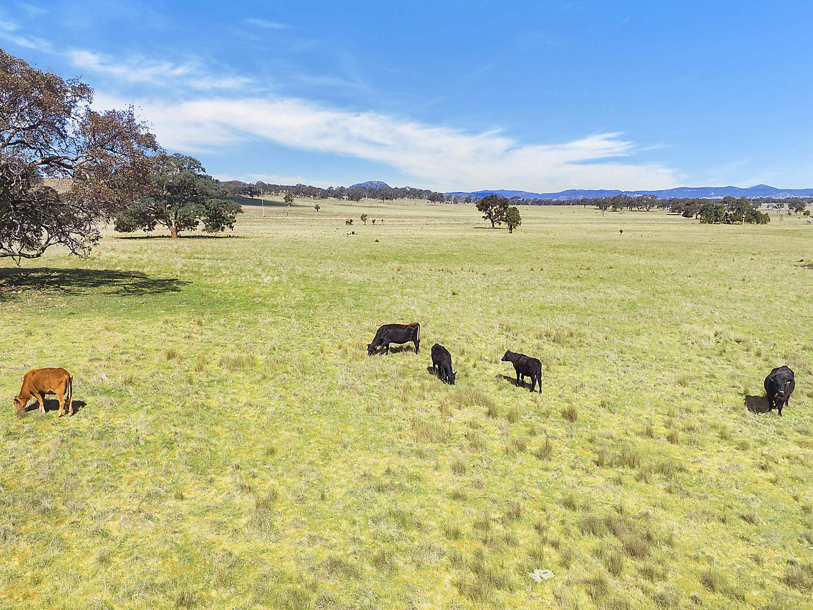 3019 Bylong Valley Way, Rylstone Auction by Farmbuy.com - image 14