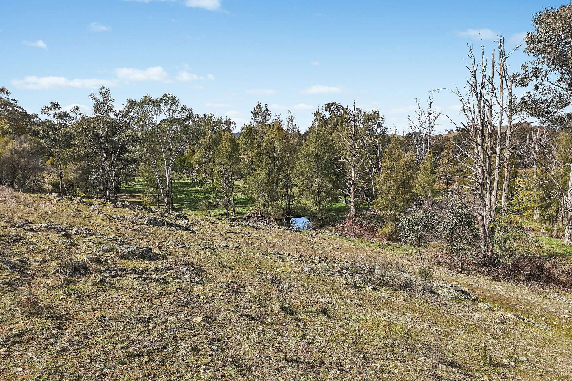1051 Windeyer Road, Mudgee Auction by Farmbuy.com - image 12