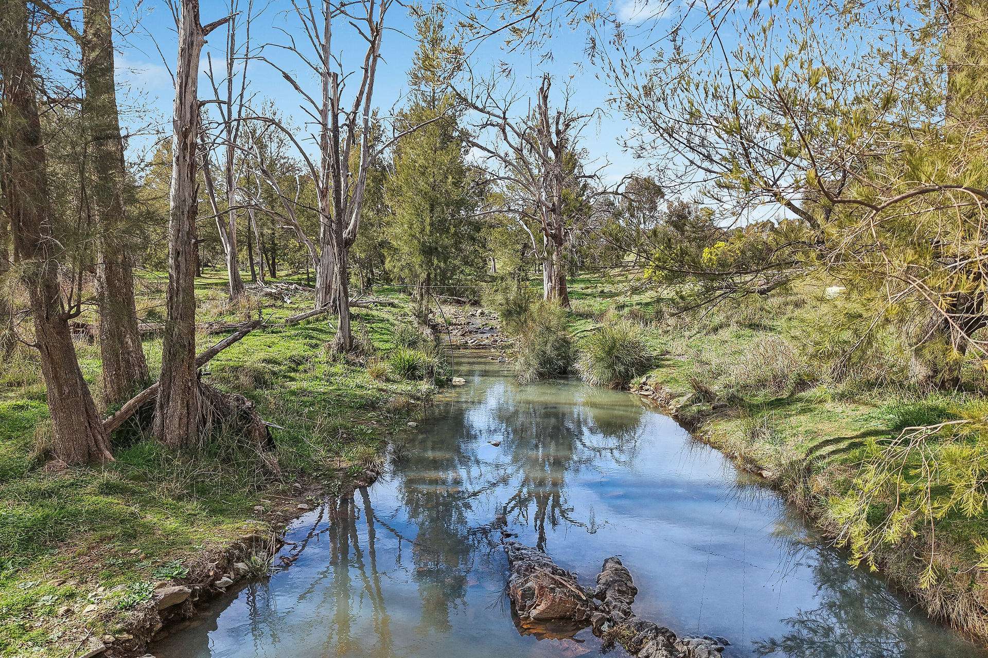 1051 Windeyer Road, Mudgee Auction by Farmbuy.com - image 15