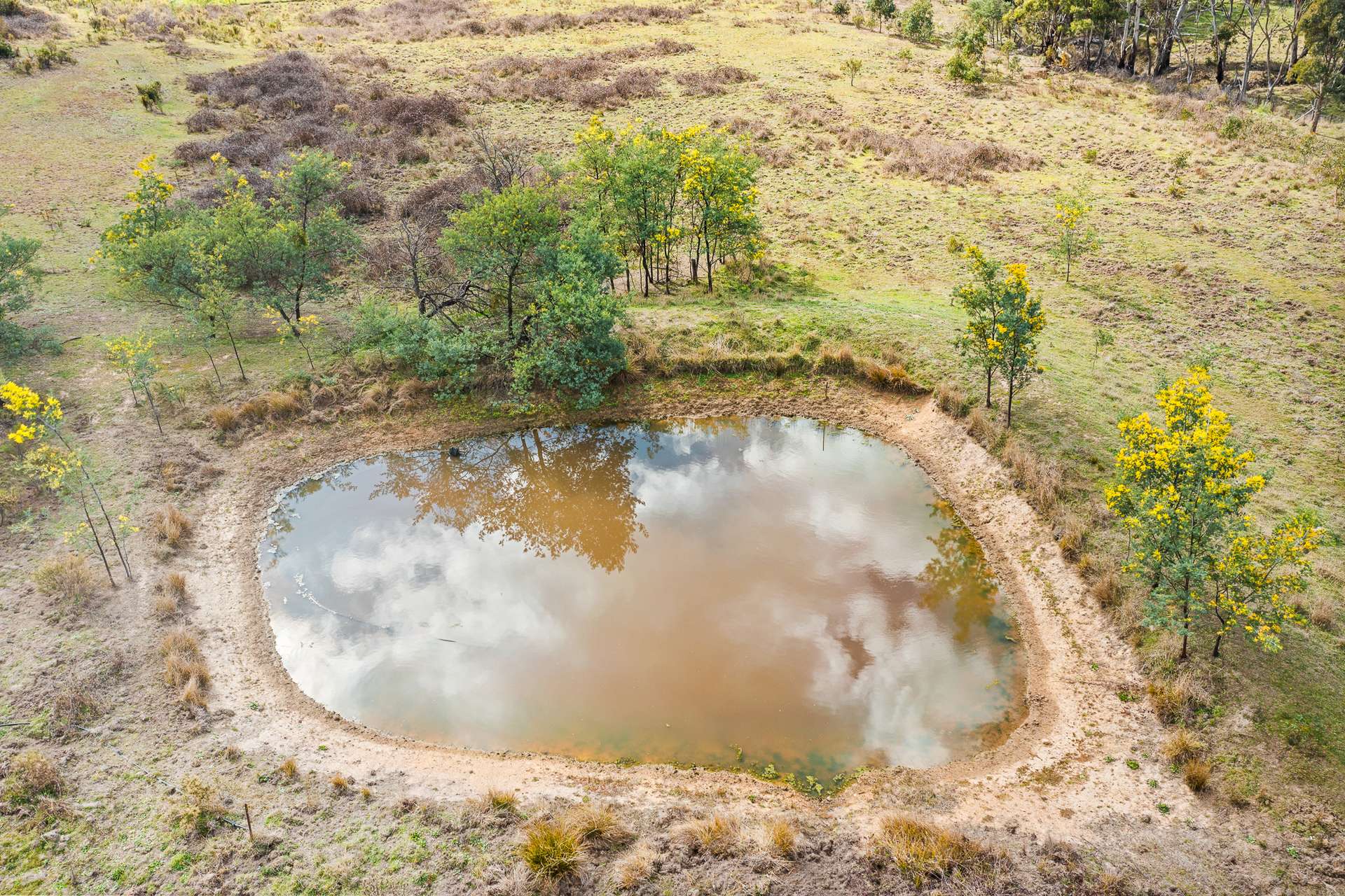 101 Evans Road, Mudgee Auction by Farmbuy.com - image 8