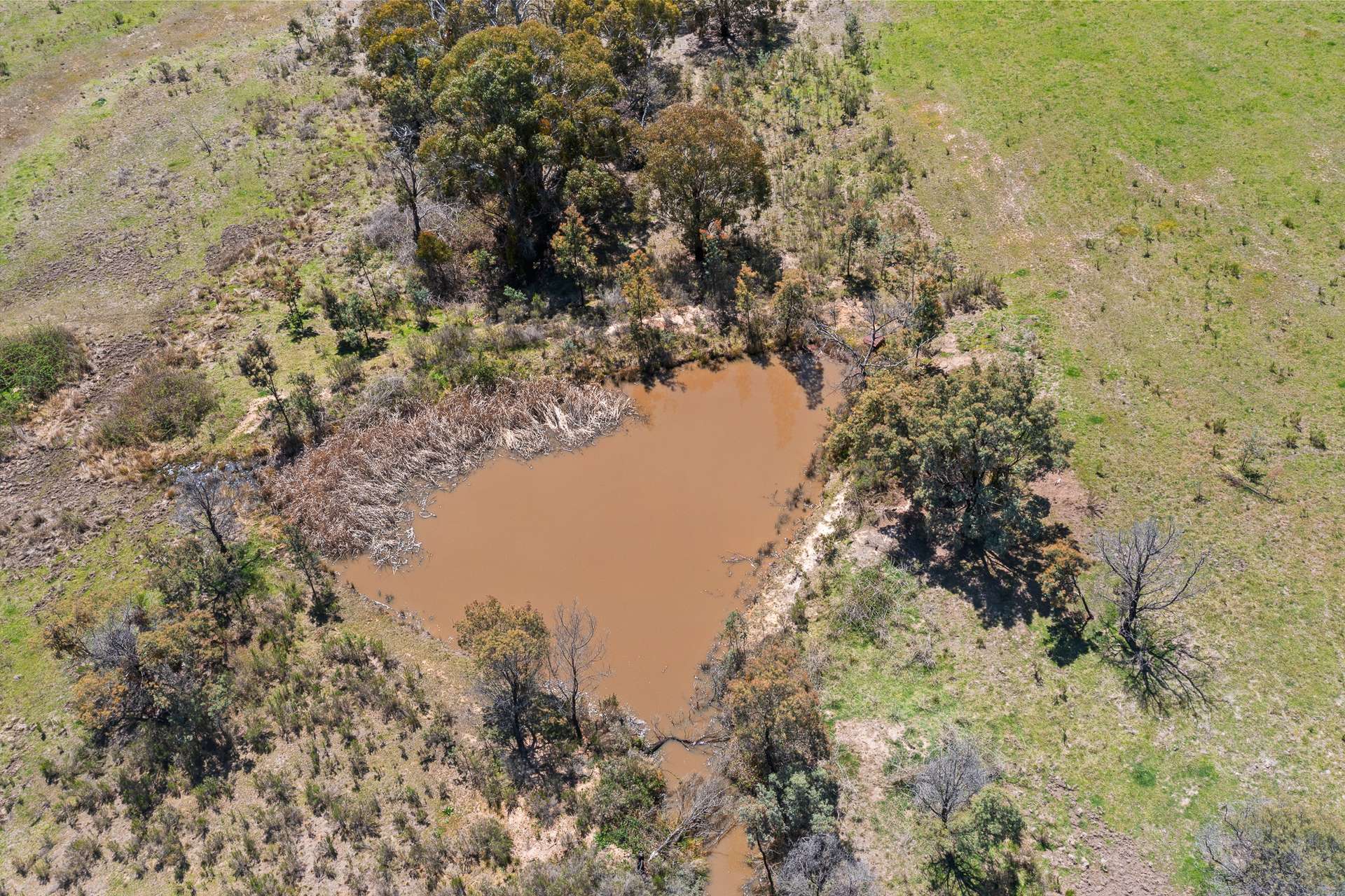 101 Evans Road, Mudgee Auction by Farmbuy.com - image 5