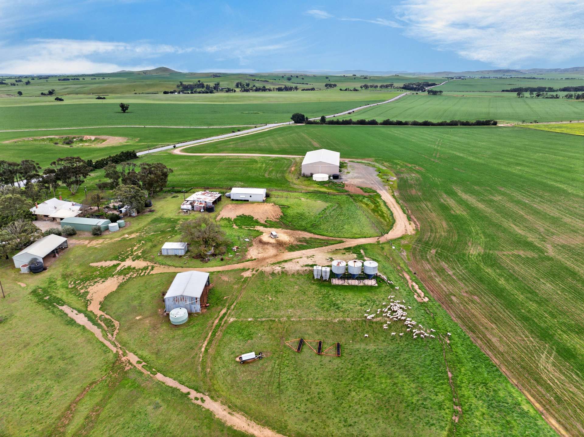 'Vater Family Aggregation', Saddleworth Auction by Farmbuy.com - image 22
