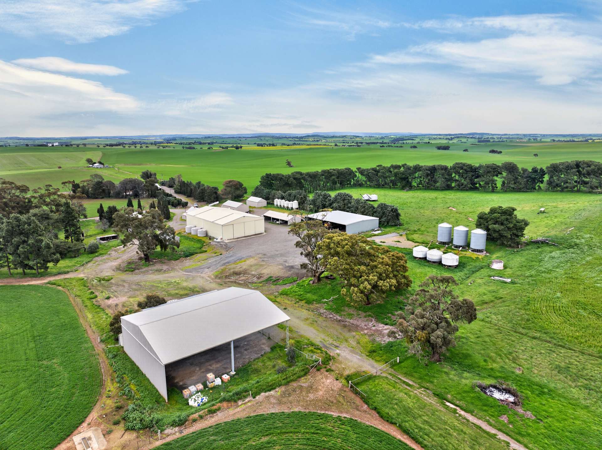 'Vater Family Aggregation', Saddleworth Auction by Farmbuy.com - image 9