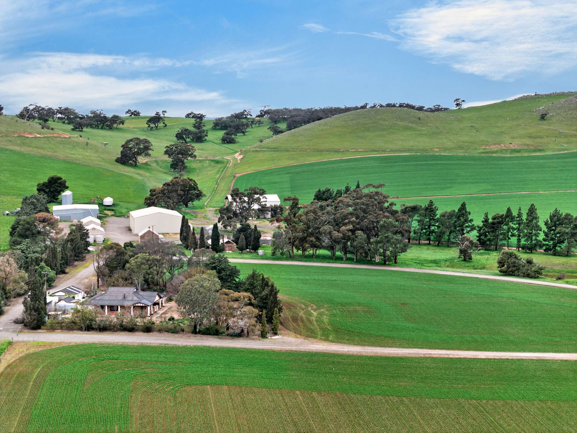 'Vater Family Aggregation', Saddleworth Auction by Farmbuy.com - image 1