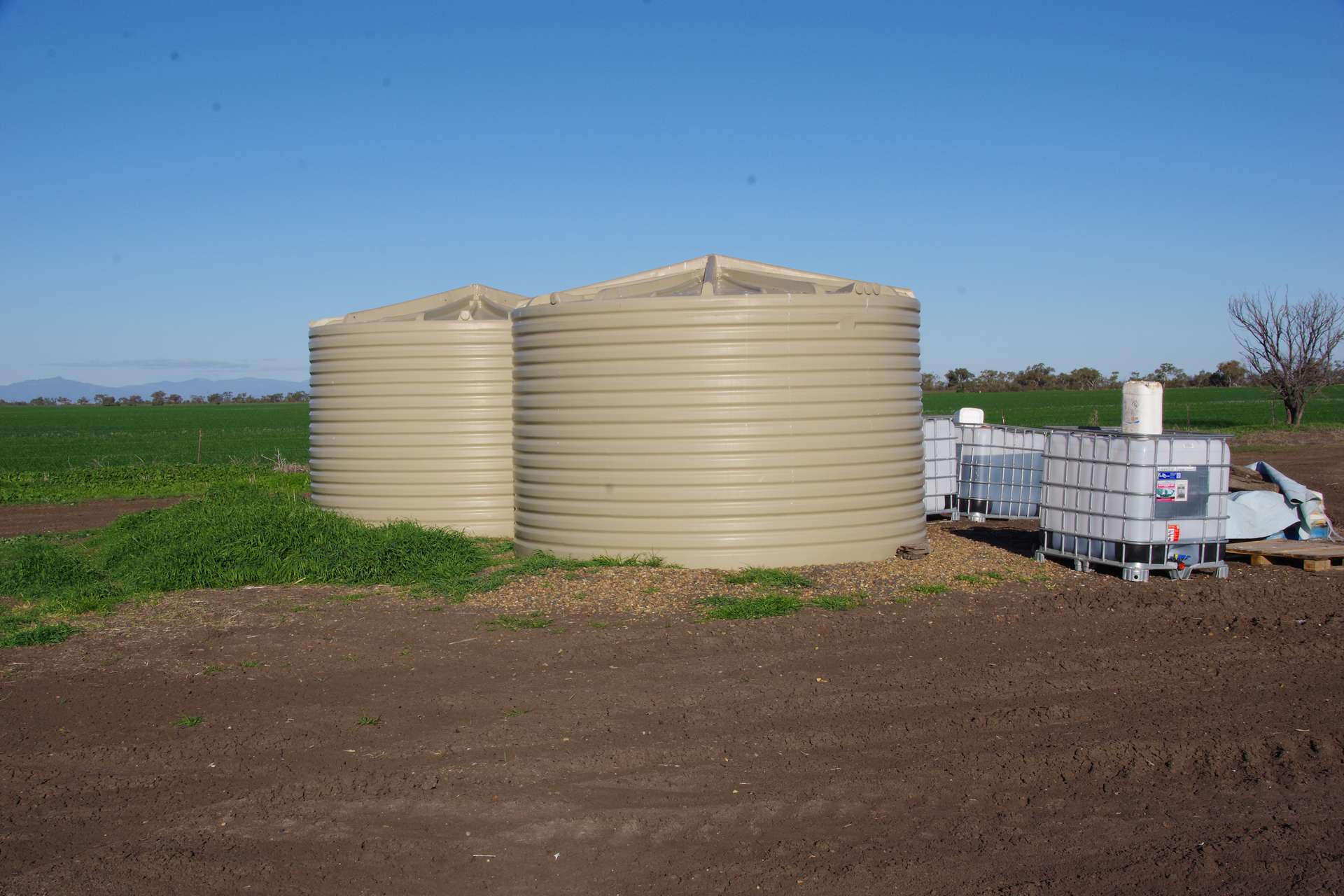 . Waiwera Lane, Bellata For Sale by Farmbuy.com - image 25