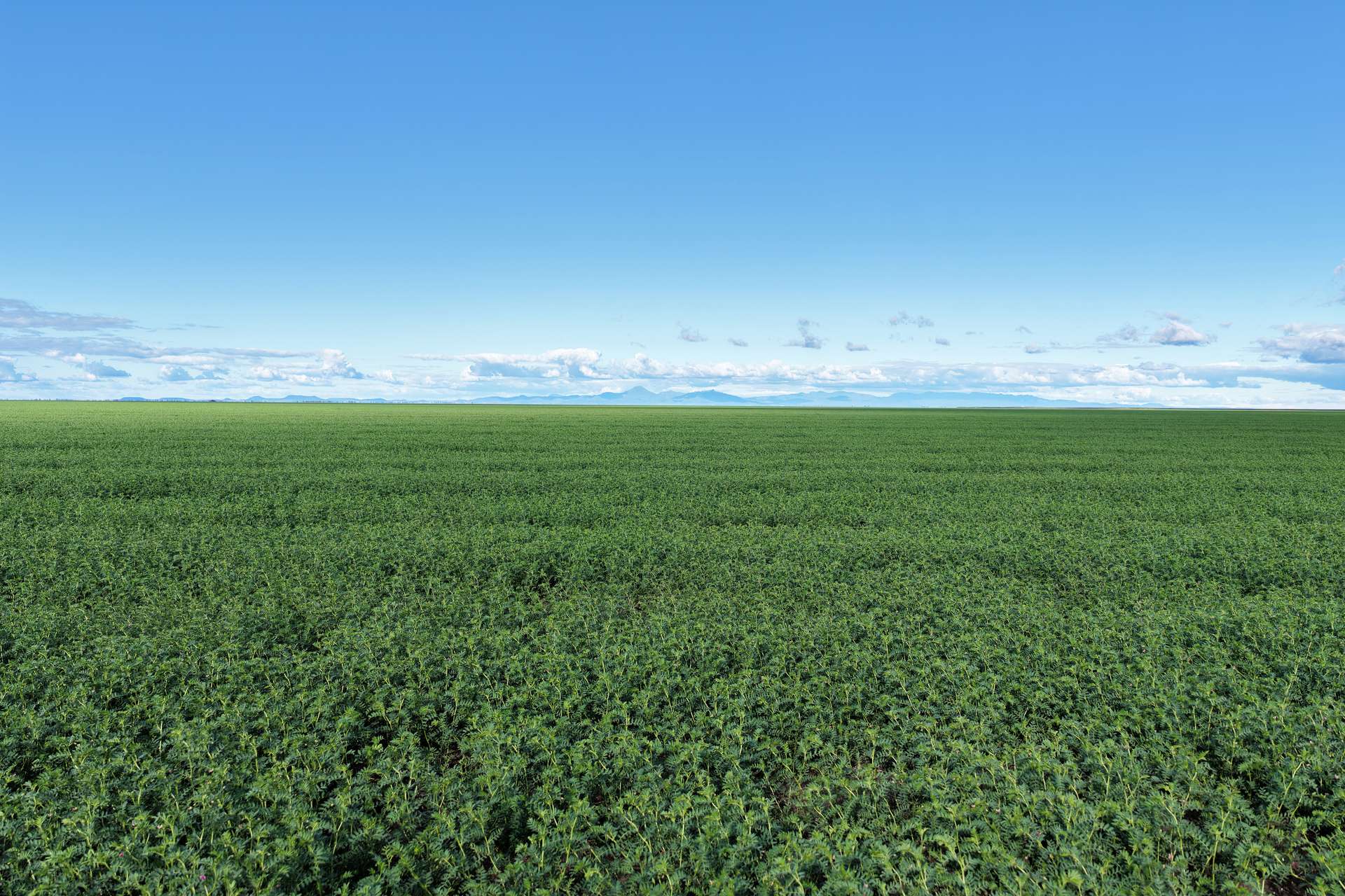 . Waiwera Lane, Bellata For Sale by Farmbuy.com - image 2