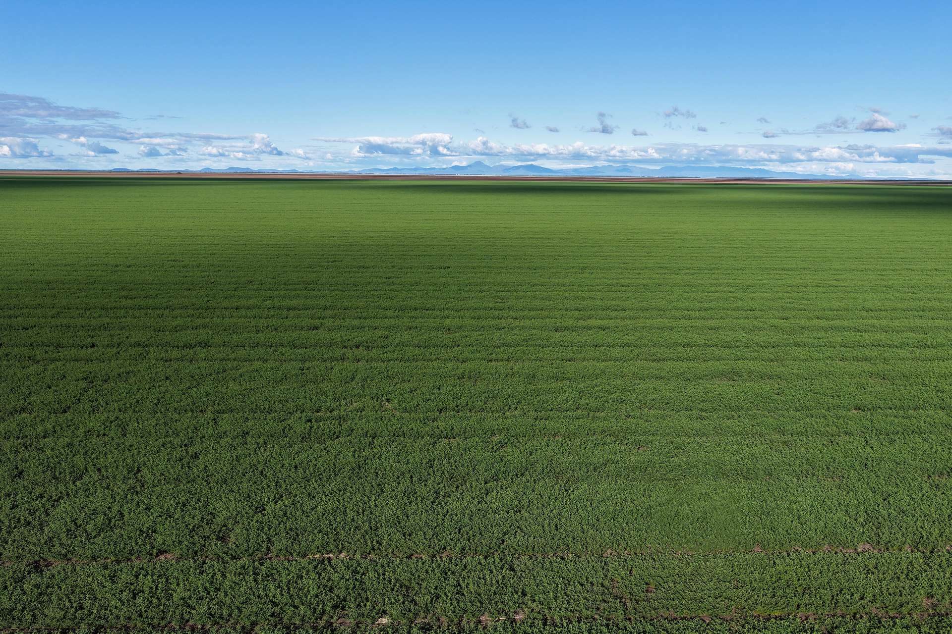 . Waiwera Lane, Bellata For Sale by Farmbuy.com - image 32