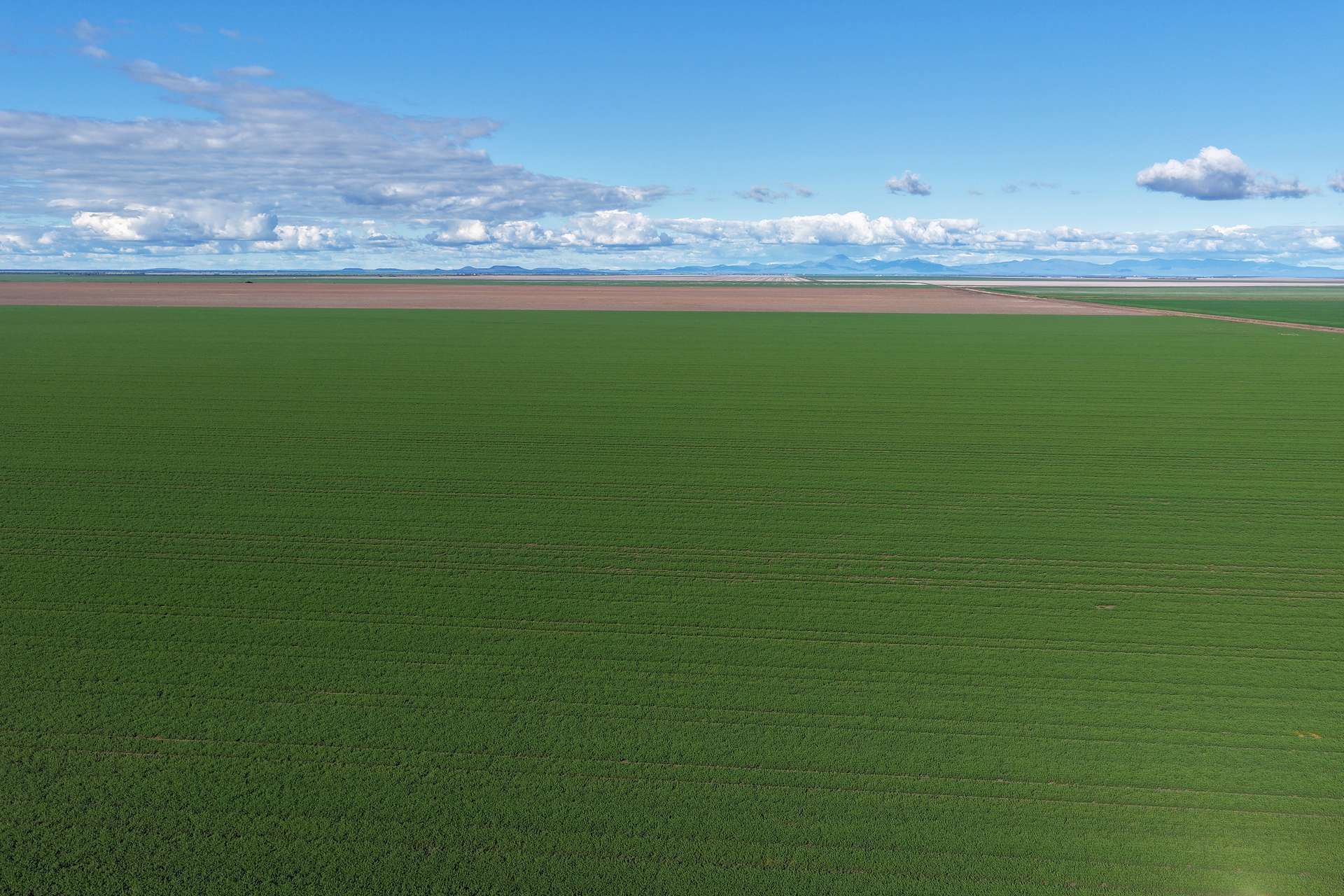 . Waiwera Lane, Bellata For Sale by Farmbuy.com - image 3