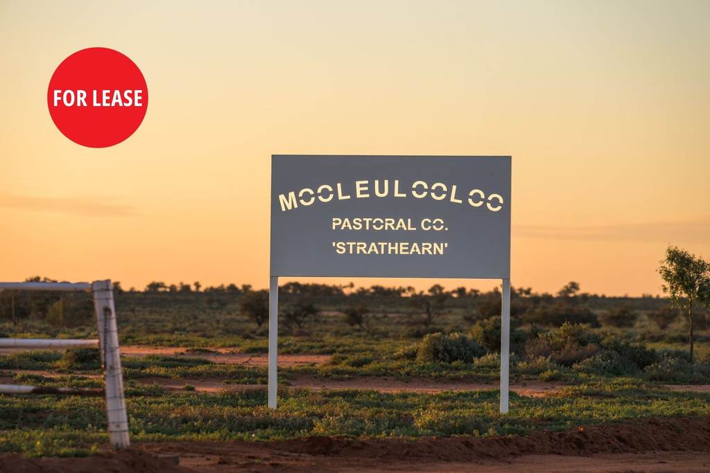 "Mooleulooloo & Strathearn Station" Kalabity Road, Cockburn SA 5440