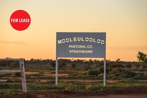 Farm For Sale - SA - Cockburn - 5440 - Mooleulooloo & Strathearn Station – For Lease 