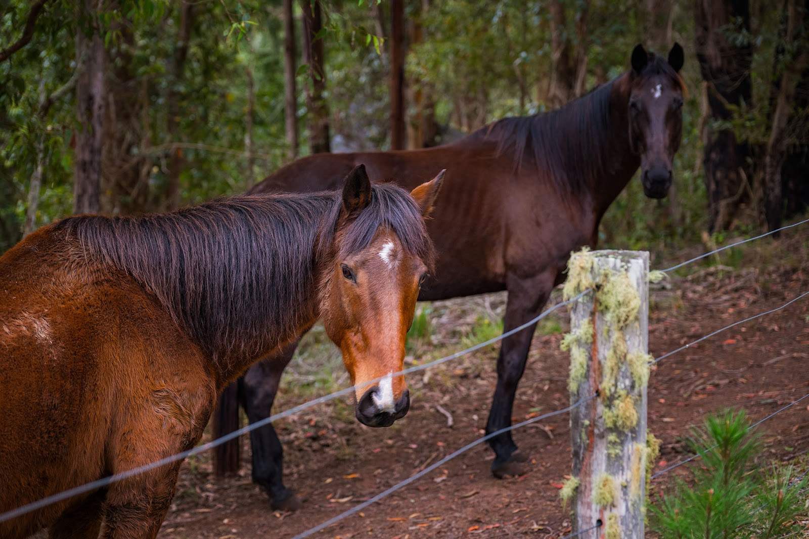 396 Jones Road, Byabarra For Sale by Farmbuy.com - image 33