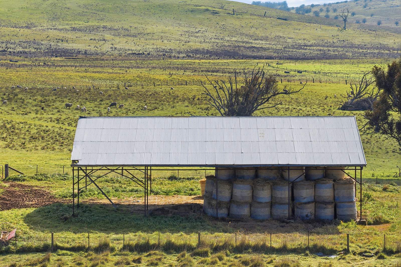 96 Dalton Road, Gunning For Sale by Farmbuy.com - image 15
