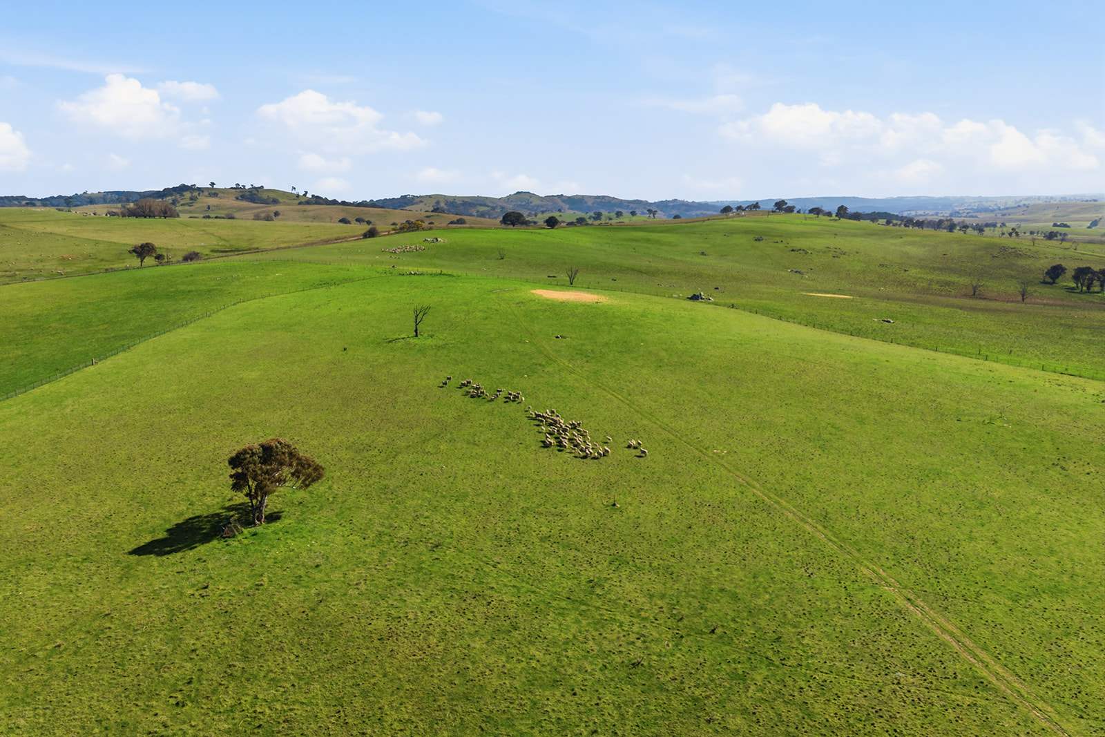 96 Dalton Road, Gunning For Sale by Farmbuy.com - image 4