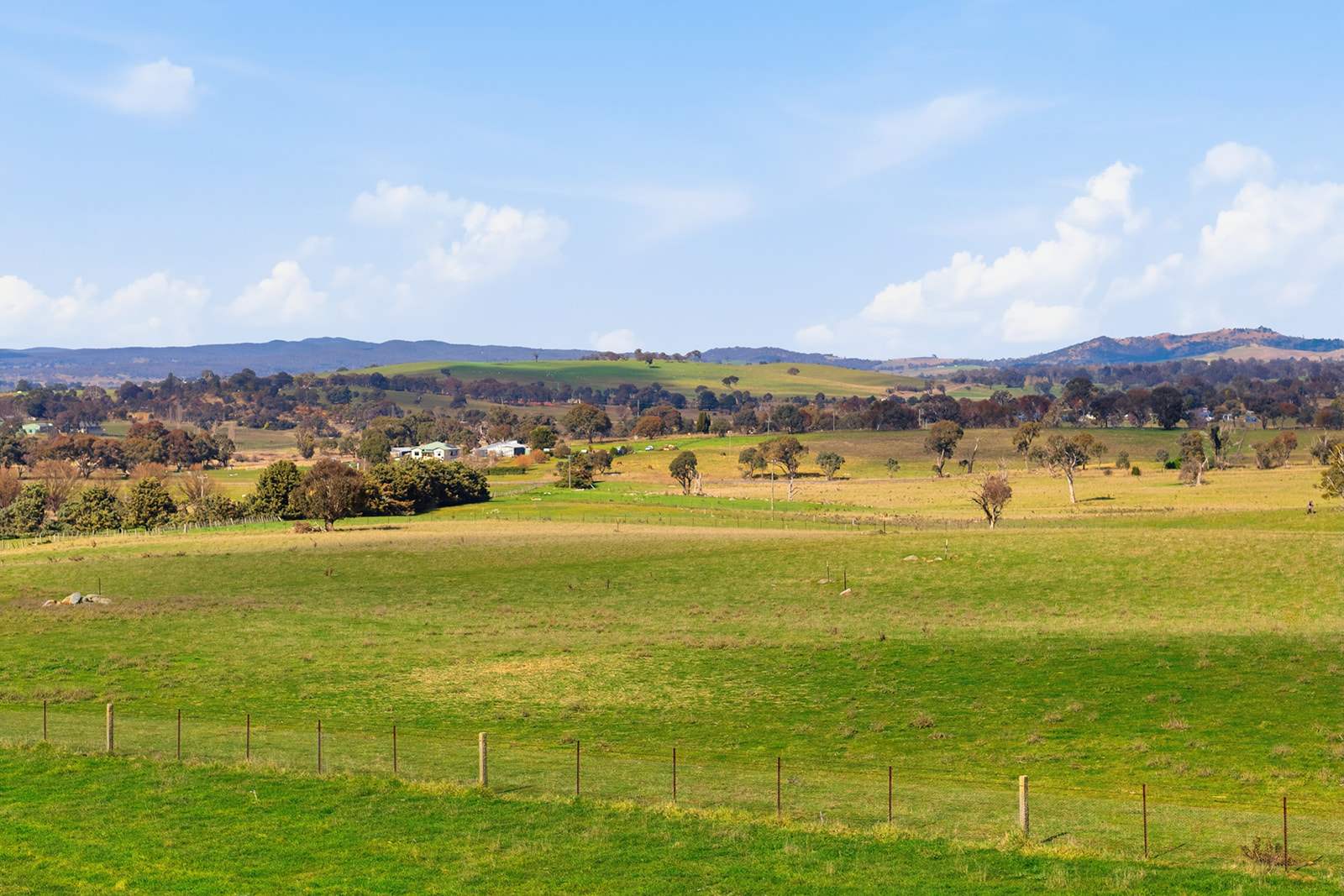 96 Dalton Road, Gunning For Sale by Farmbuy.com - image 6