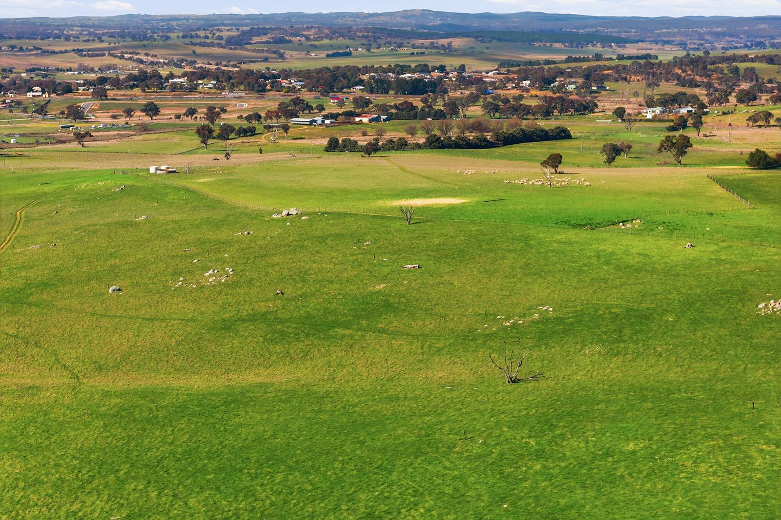 96 Dalton Road, Gunning For Sale by Farmbuy.com - image 2