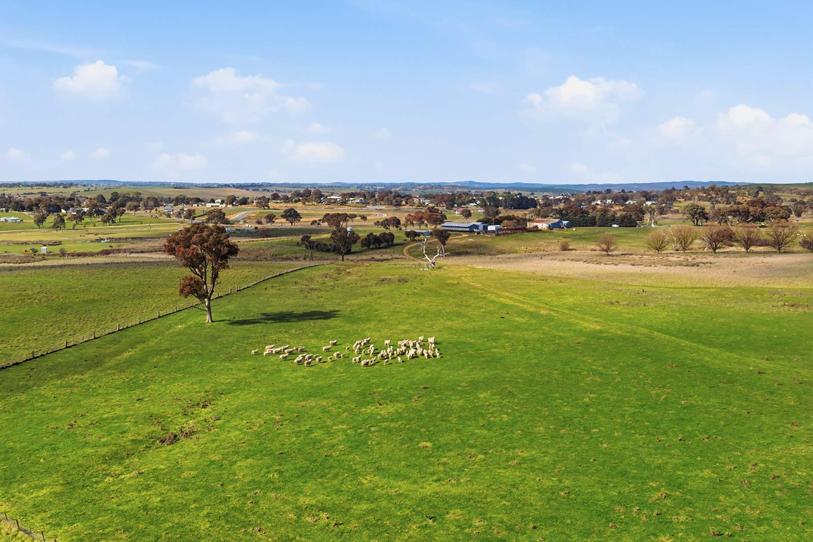 96 Dalton Road, Gunning For Sale by Farmbuy.com - image 3