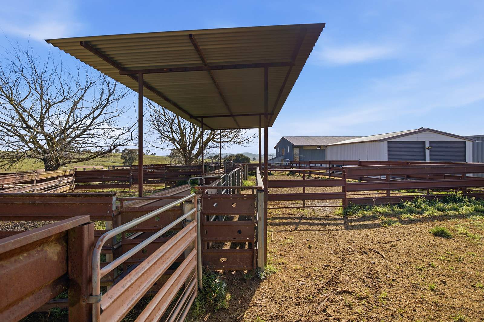96 Dalton Road, Gunning For Sale by Farmbuy.com - image 12