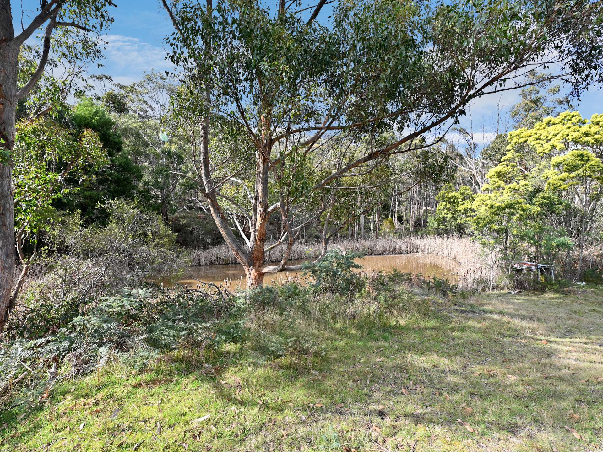 418 Ellendale Road, Fentonbury For Sale by Farmbuy.com - image 19